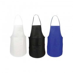 Predpasnik - Economy